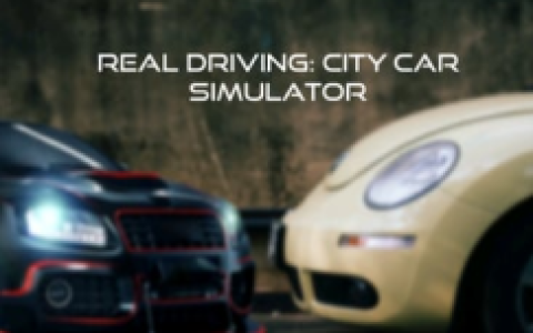 Real Driving: City Car Simulator